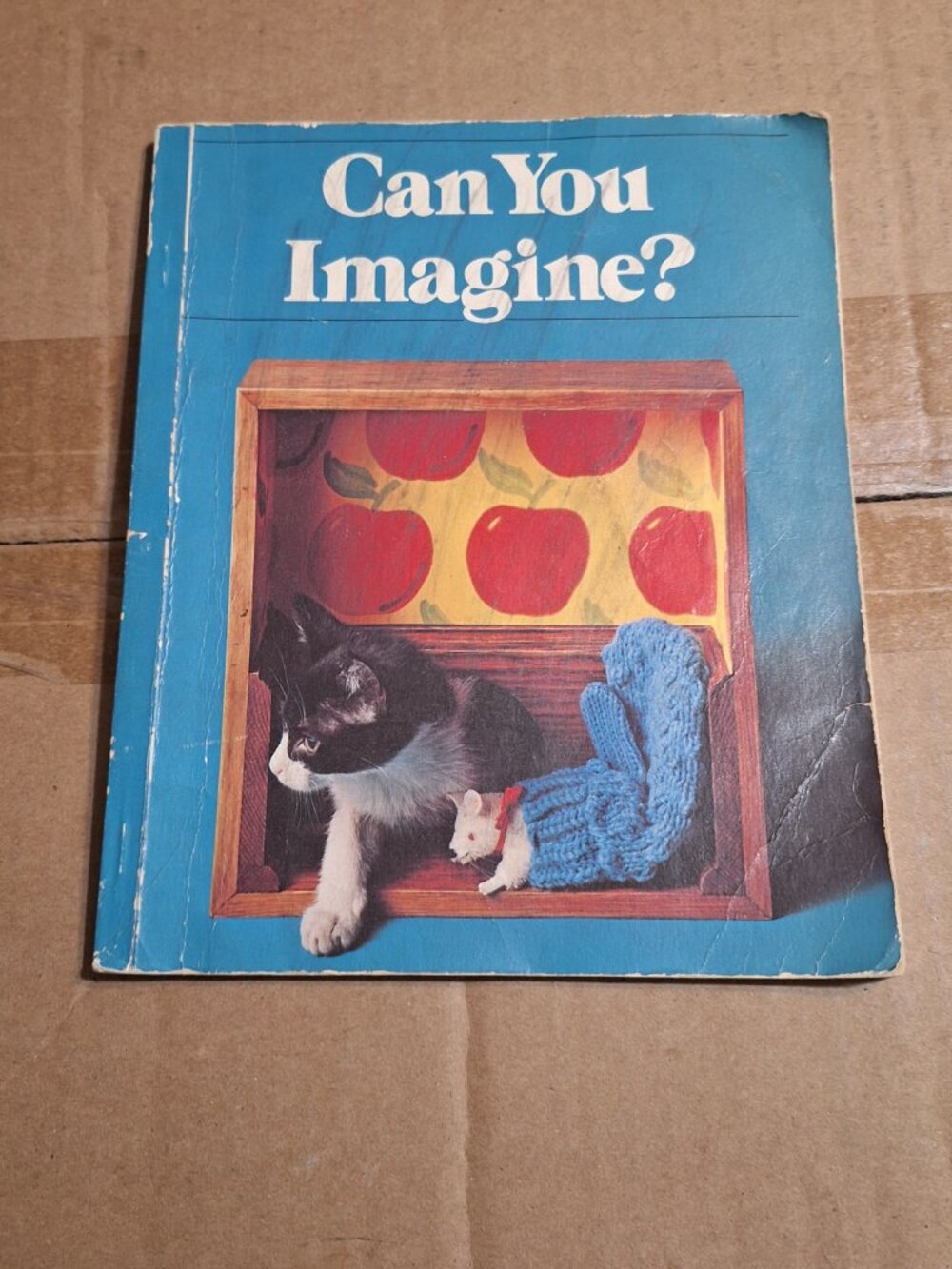 Can you Imagine?